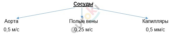 Diagram Description automatically generated with medium confidence