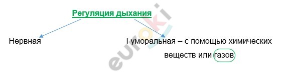 Diagram Description automatically generated