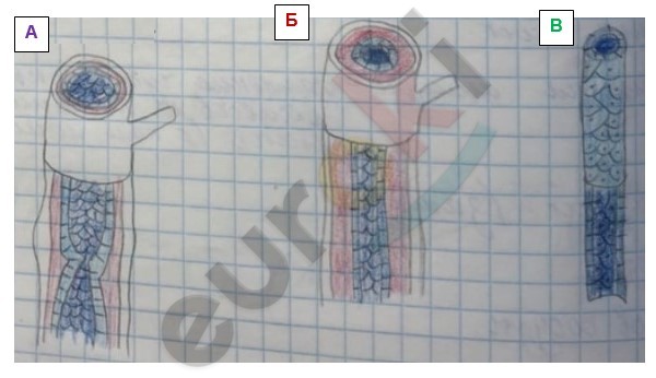 A picture containing text, whiteboard Description automatically generated