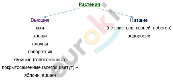 Diagram Description automatically generated