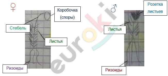 Graphical user interface, application Description automatically generated with medium confidence
