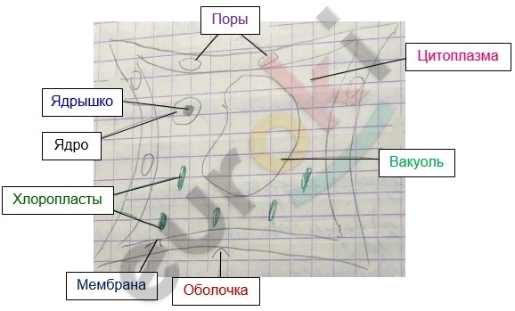 Diagram Description automatically generated