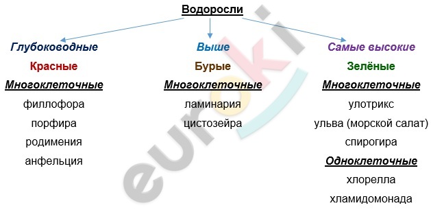 Diagram Description automatically generated