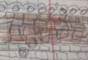 A close-up of a keyboard Description automatically generated with medium confidence