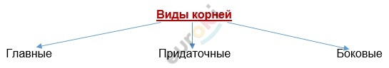 Timeline Description automatically generated