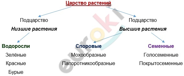 Diagram Description automatically generated