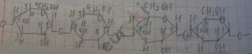 A close-up of a piece of paper Description automatically generated with low confidence