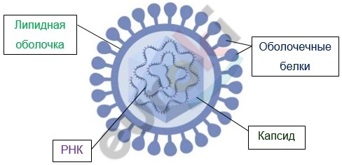 Diagram Description automatically generated