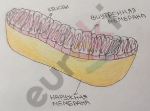 Diagram Description automatically generated