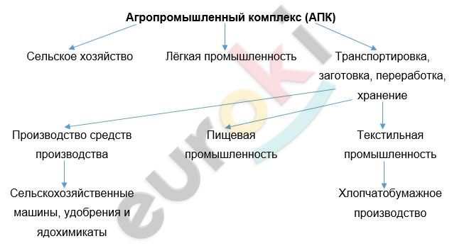 A picture containing diagram Description automatically generated