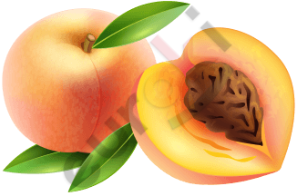 https://free-png.ru/wp-content/uploads/2020/10/01-6a0ca264.png