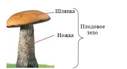 https-skr-sh-i-121021-cxgsgzwy-jpgdownload1andna.jpeg