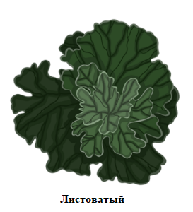 лист.PNG